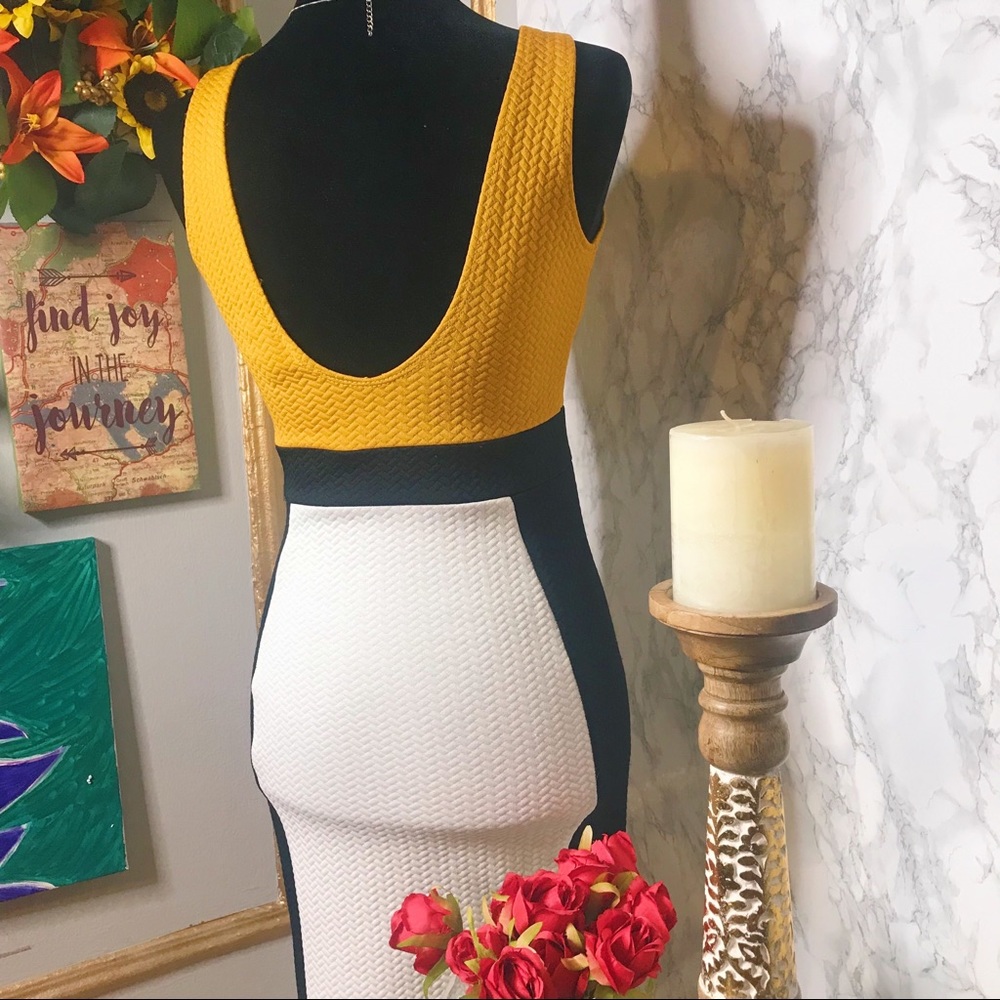 Colorblock Bodycon Dress - Picture 6 of 6